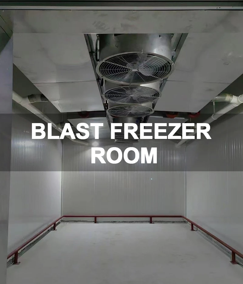 4.Blast Freezer Room