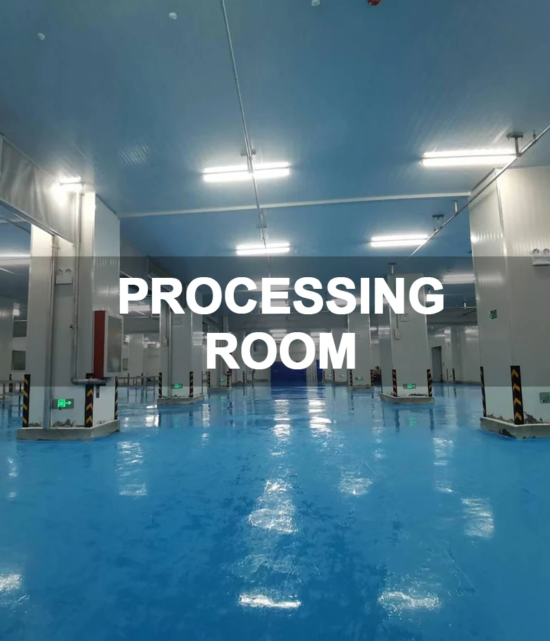 1.Processing Room