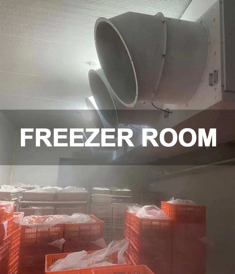 3.Freezer Room