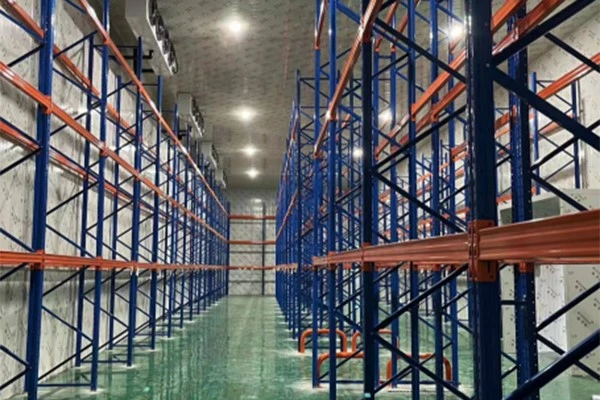 Freezer Room